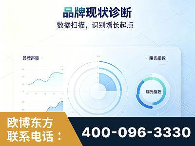 池州-品牌现状诊断